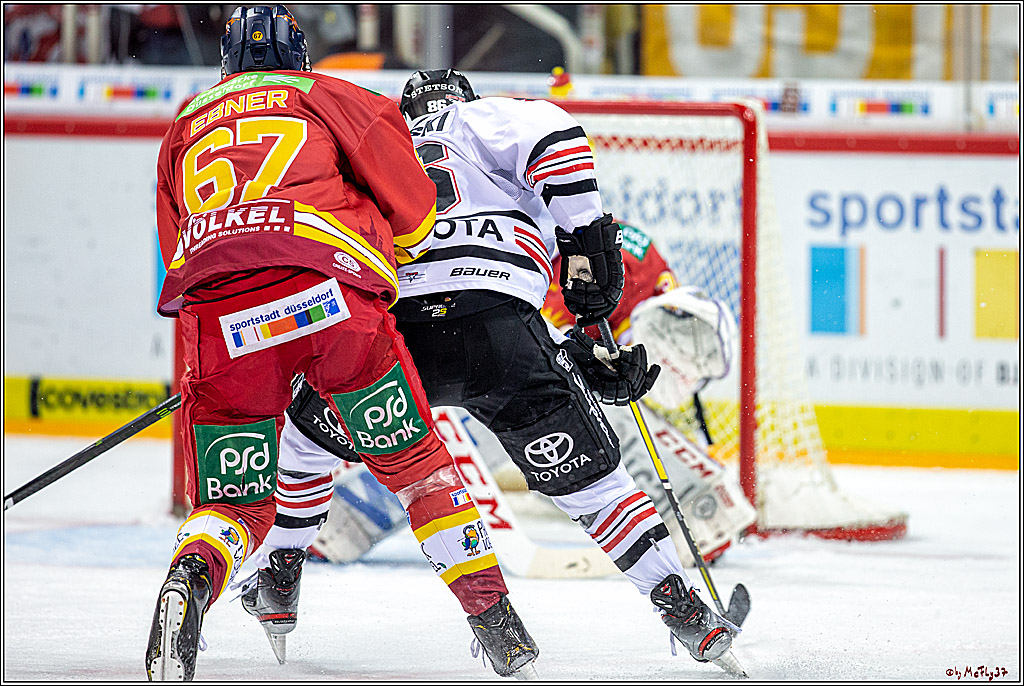 DEL; Duesseldorfer EG - Koelner Haie; Duesseldorf, 29.11.2019